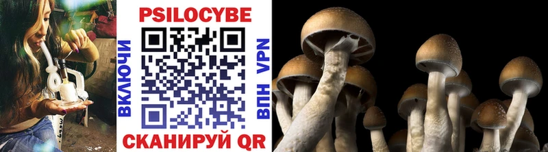 Галлюциногенные грибы Magic Shrooms  Туймазы 