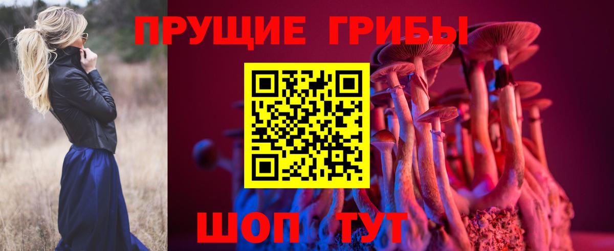 Псилоцибиновые грибы ЛСД  Вход с VPN  Туймазы 